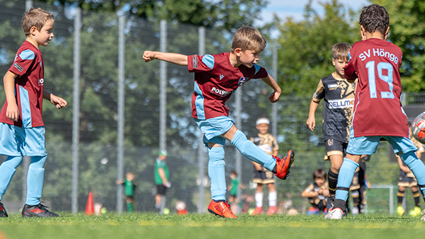 SV Höngg Junioren